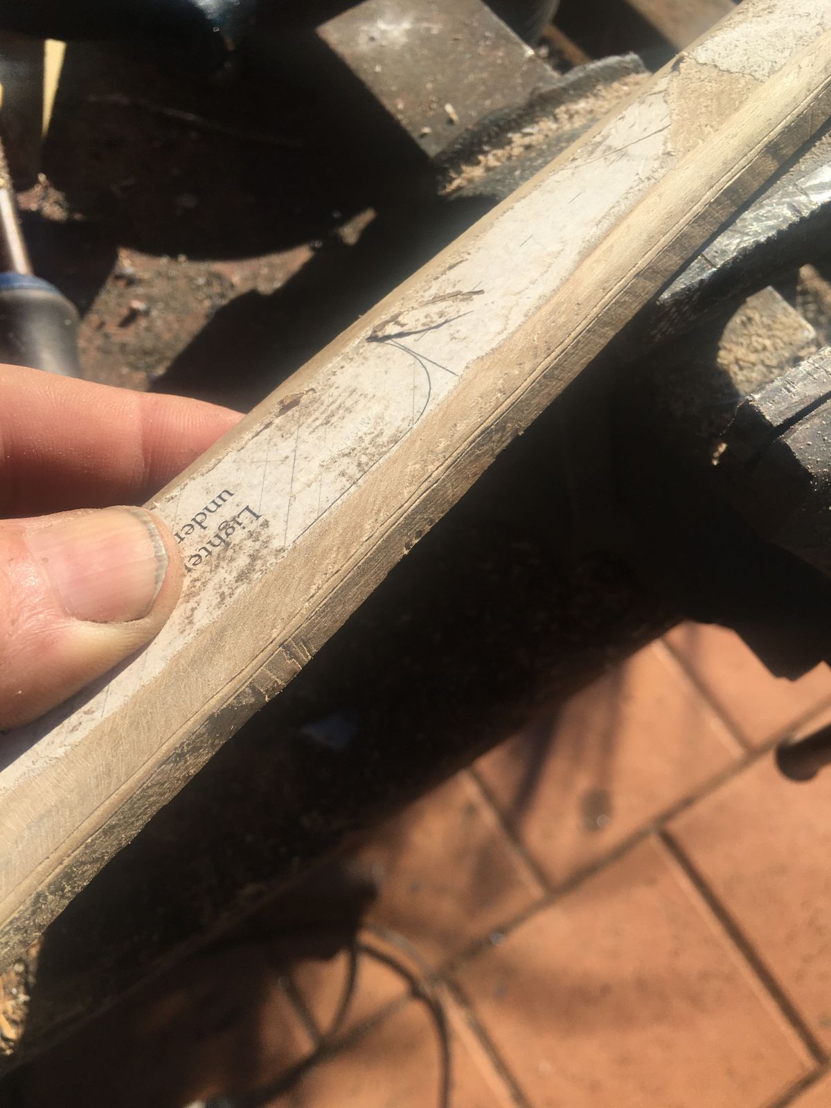 WhatsApp Image 2025-04-27 at 23.11.06.jpeg